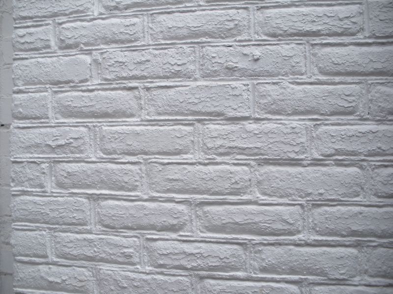 DSCN0080